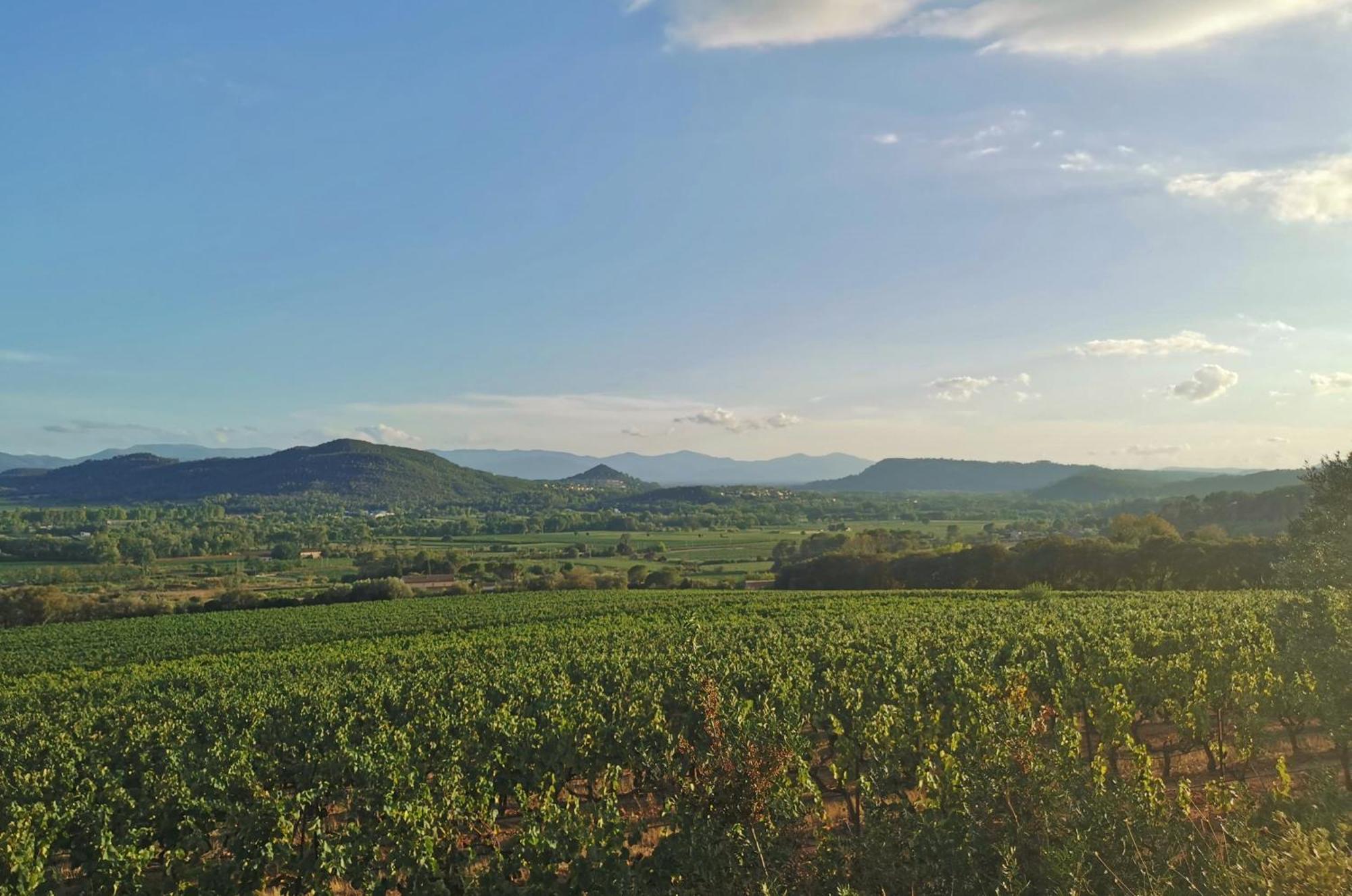 Le Nid En Chante Vue Panoramique Les Arcs-sur-Argens Luaran gambar